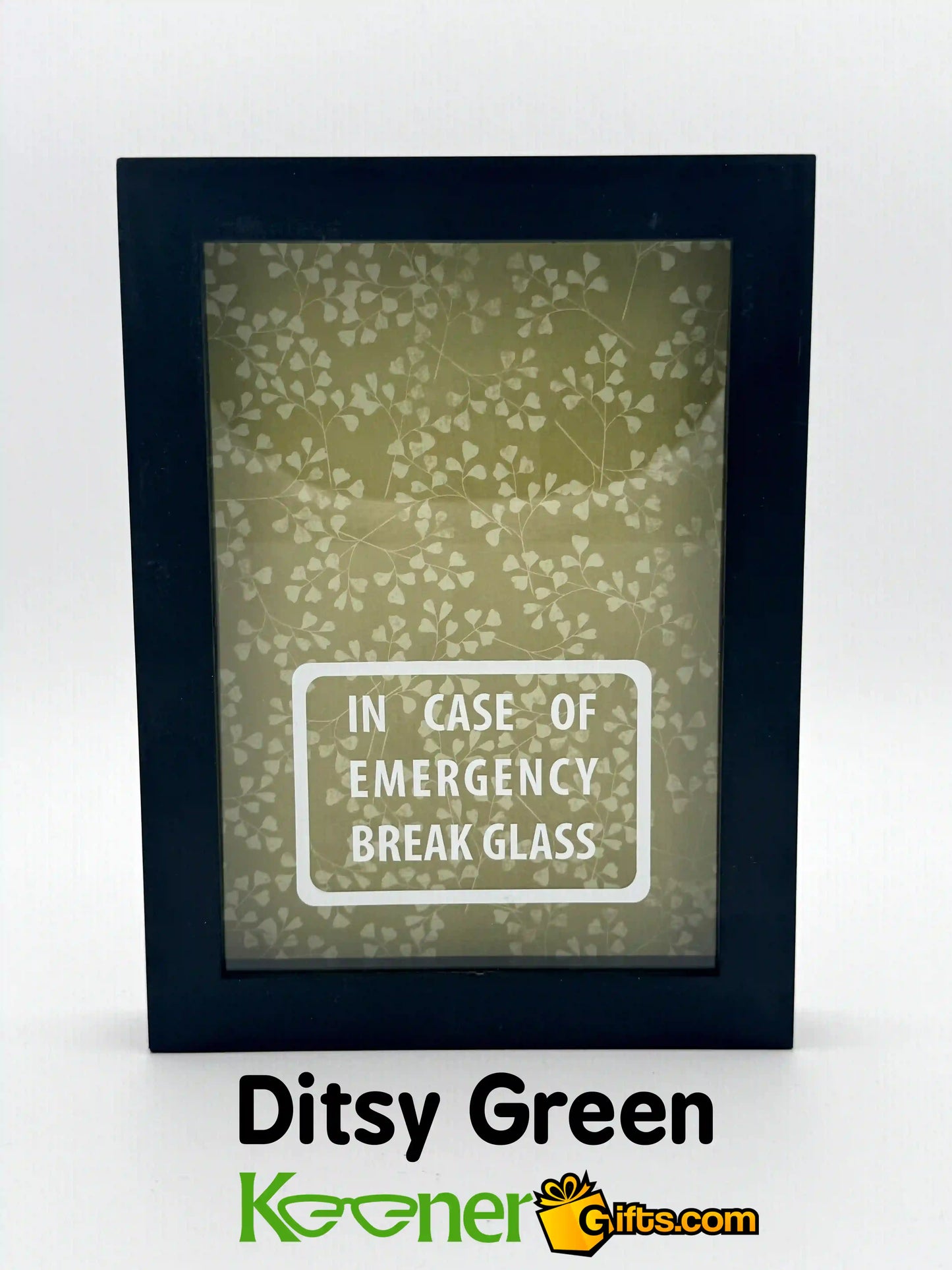 In Case of Emergency Break Glass Shadow Box Black Frame, Empty. Ditsy Green Background.