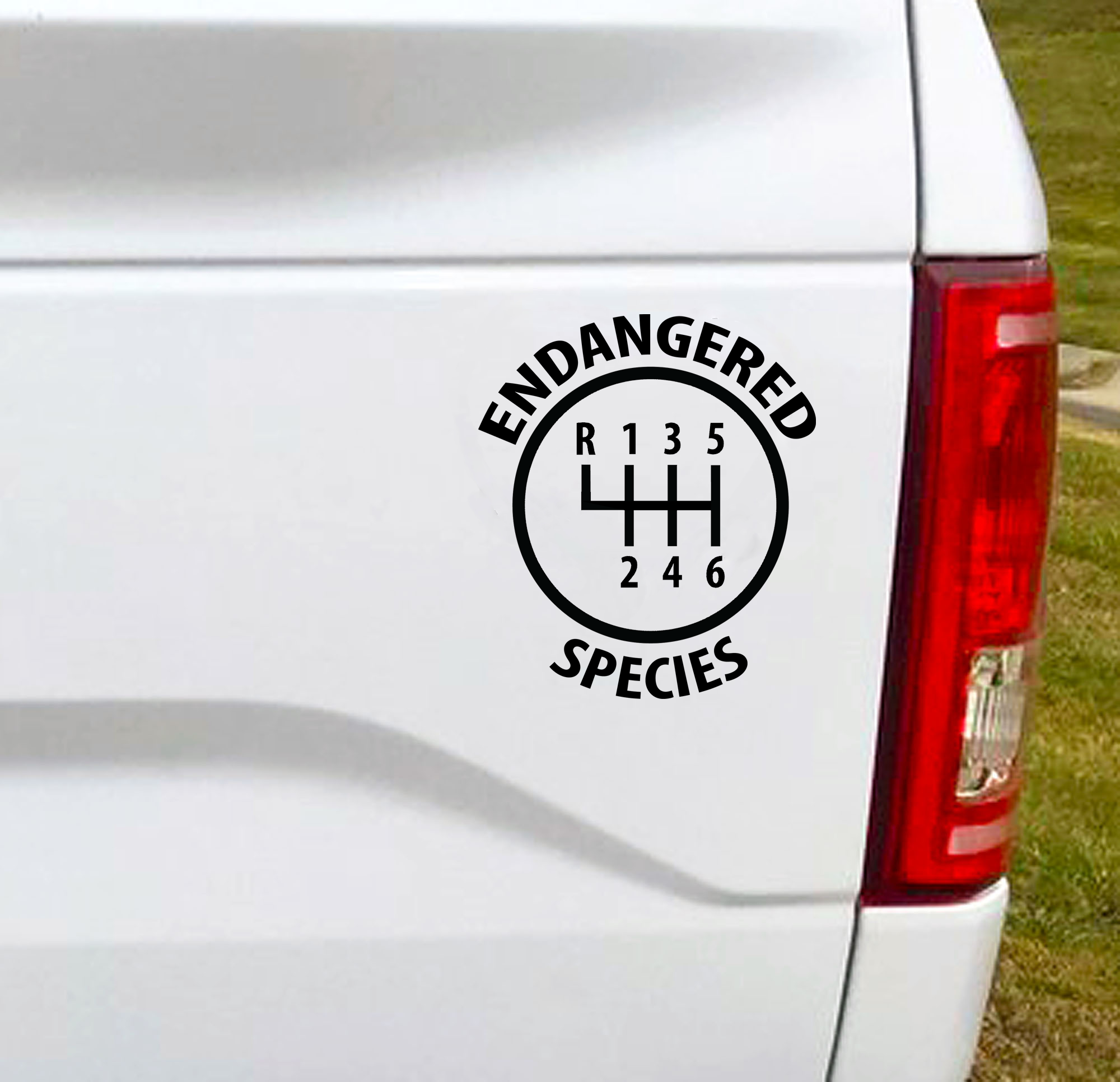 Endangered Species  Vinyl Car Decal Bumper Sticker is a must have to add to your back window. Manual transmissions / Stick Shift, truly is an endangered species.  3.52"W x 4"H Car Decal, Car Sticker, Car Vinyl, Bumper Sticker, Vinyl Stickers, Vinyl Sticker.  FREE SHIPPING FOR ALL VINYL DECALS within Canada and the US.